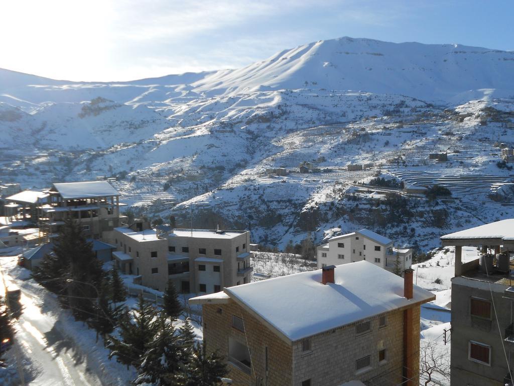 بيت شباب باوهاوس موتيل بشرّي المظهر الخارجي الصورة