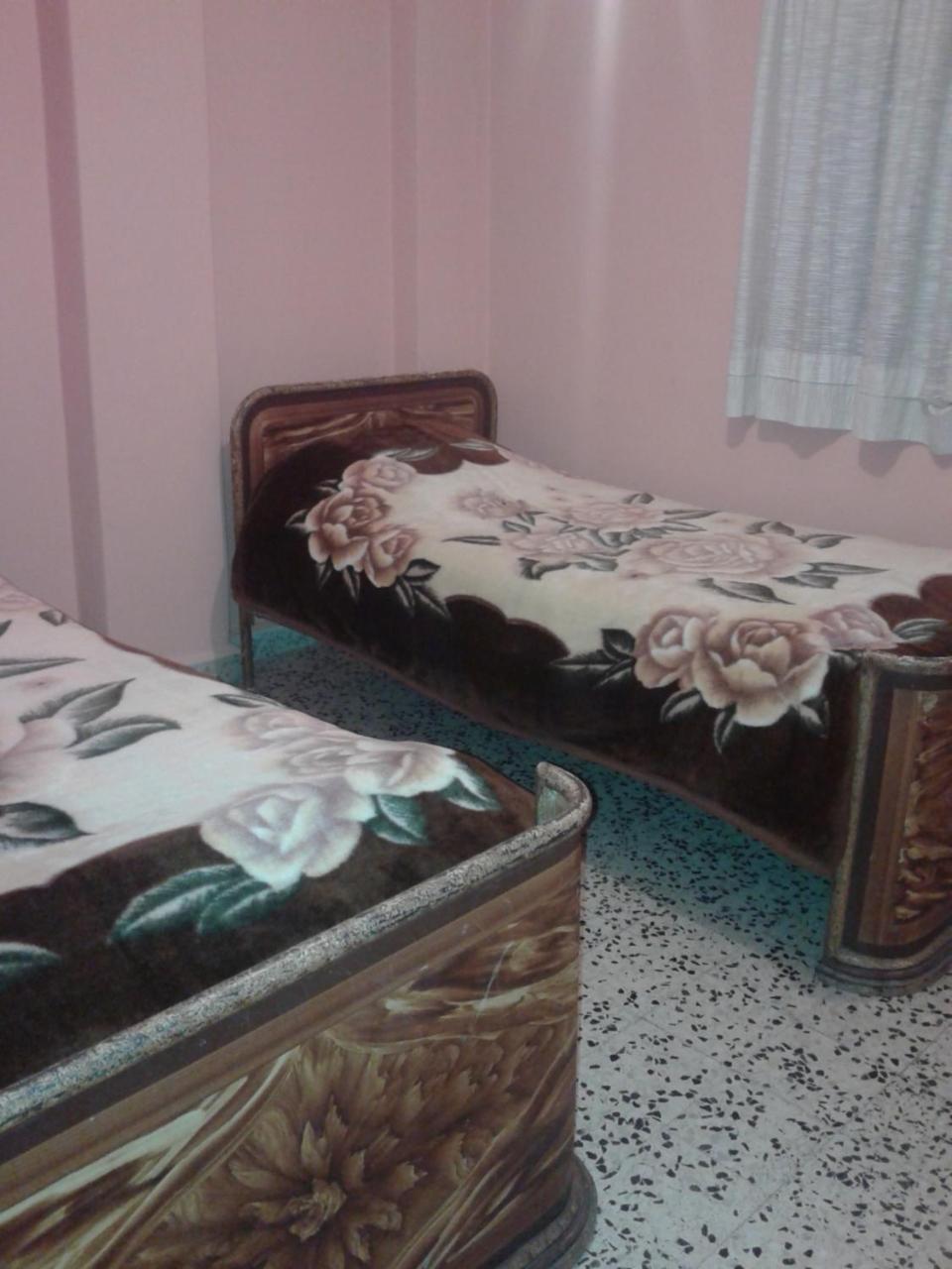 بيت شباب باوهاوس موتيل بشرّي المظهر الخارجي الصورة